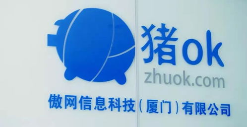 隱形廈門股 有哪些 這六家熟悉的上市企業(yè)注冊地并非廈門 丨觀瀾財(cái)經(jīng)