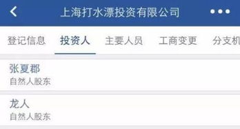 從“打水漂”投資到“韭菜1號” 資管江湖的荒誕現實主義